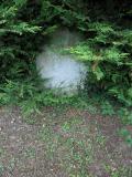 image of grave number 149511